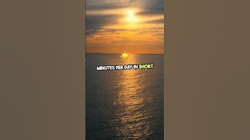 Birds That Sleep While Flying – How Is That Possible?