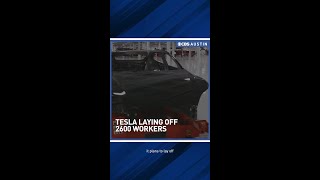 Career Overview Tesla Austin layoffs spark calls for worker protections