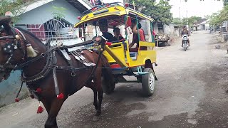Download Lagu ##becak Lombok timur, kuda delman ala pasar, angkutan sederhana MP3 Download Lagu ##becak Lombok timur, kuda delman ala pasar, angkutan sederhana MP3