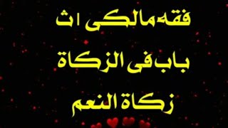 باب الزكاة زكاة النعم فقه مالكى اولى ثانوى