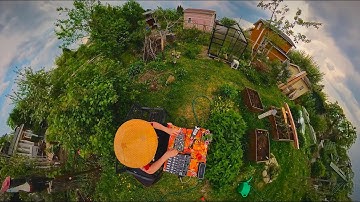 The storm is coming. Soma Lyra 8 + Make Noise Strega ambient improvisation.