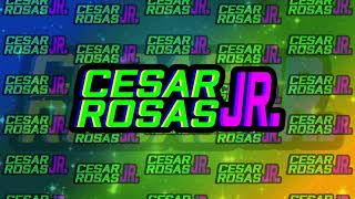 Cesar Rosas Jr. Intro Standard