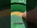 شکار طلا با استفاده از تکنولوژی نوین 