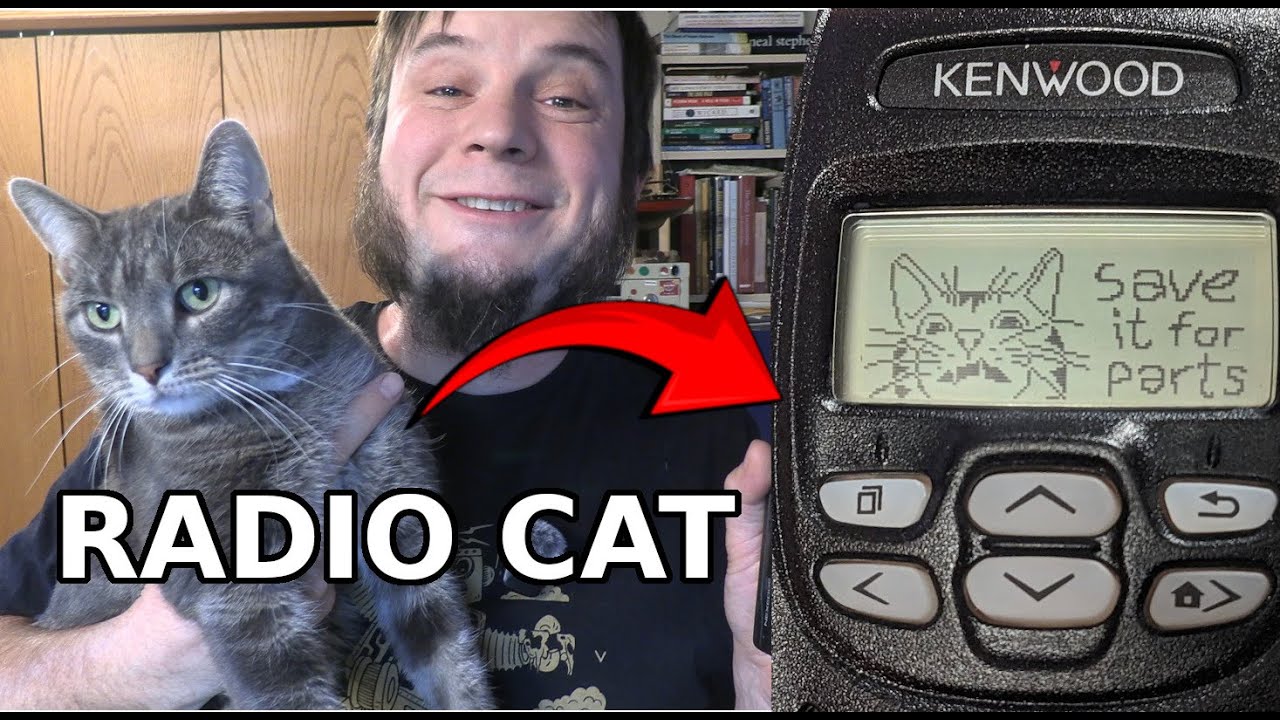 I Put My Cat On The Radio! (Programming Surplus Kenwood NX-200G Handhelds)
