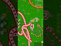 worms zone 🔥 snake game 🎯 1 vs 10 snake fight 😈