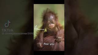 U Feel So Dumb Dont U