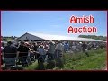 Amish Farm Auction - Scottsville, KY