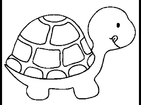 Drawing a Sea Turtle How to Draw Easy Things  YouTube