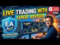Forex Trading Using Expert Advisor