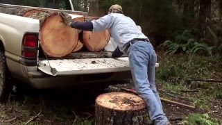 How to Cut & Load Big Firewood