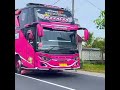 Pink azzalea telolet Basuri bus