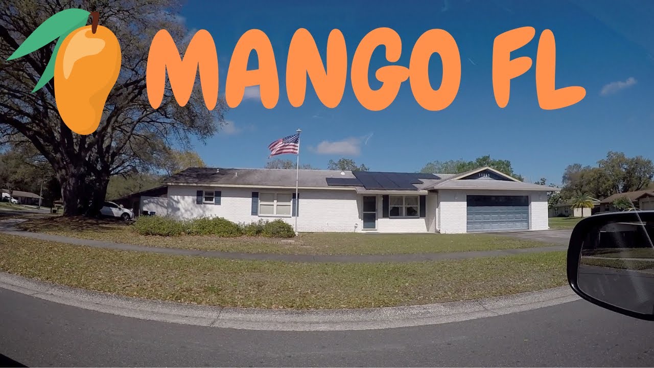 🥭MANGO FLORIDA SUBURB 2021 YouTube
