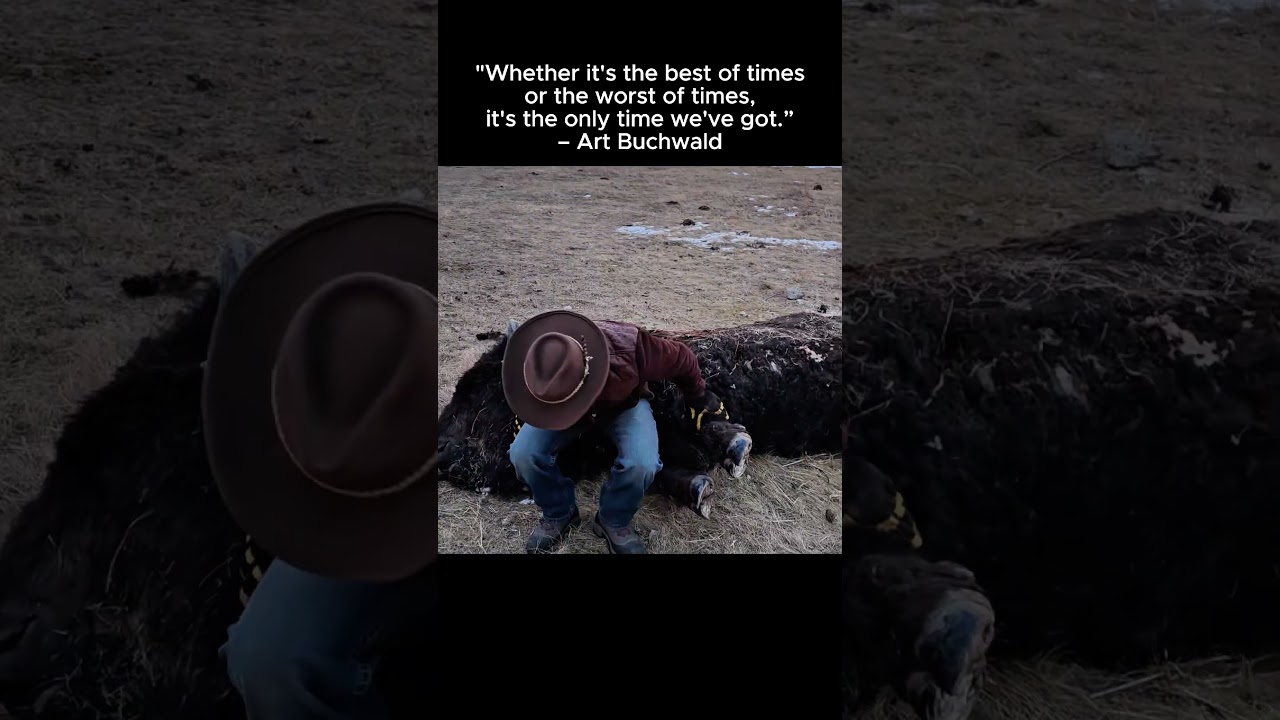 Something horrible happened to BoomBoom... Hes not coming Home