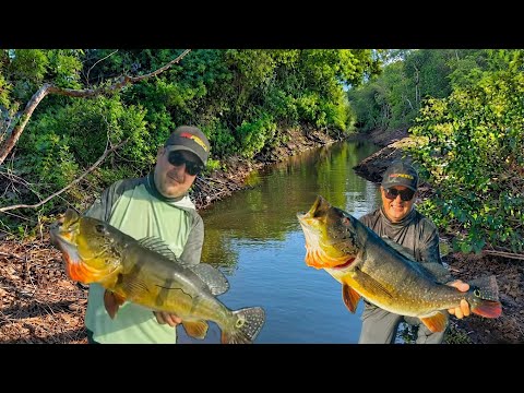 FISHING ON THE JATAPU RIVER, GIGANTES DA AMAZÔNIA LODGE