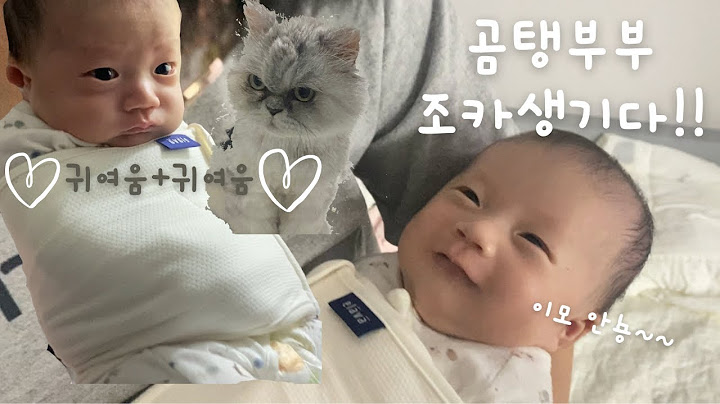 [Vlog] 곰탱부부 조카생기다🤍| 생후 40일, 조카돌보기, 육아, 신생아, 애기목욕, | 육사시미,낙지탕탕이,바지락칼국수, 해물파전, 비빔밥 |