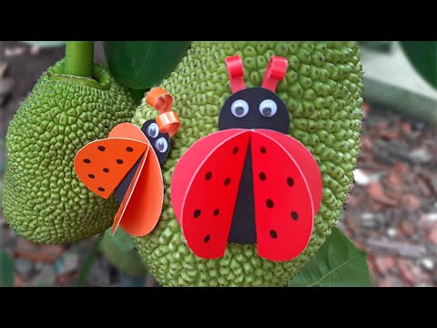 Video Làm con bọ cánh cam bằng giấy | Origami Beetle - youtube