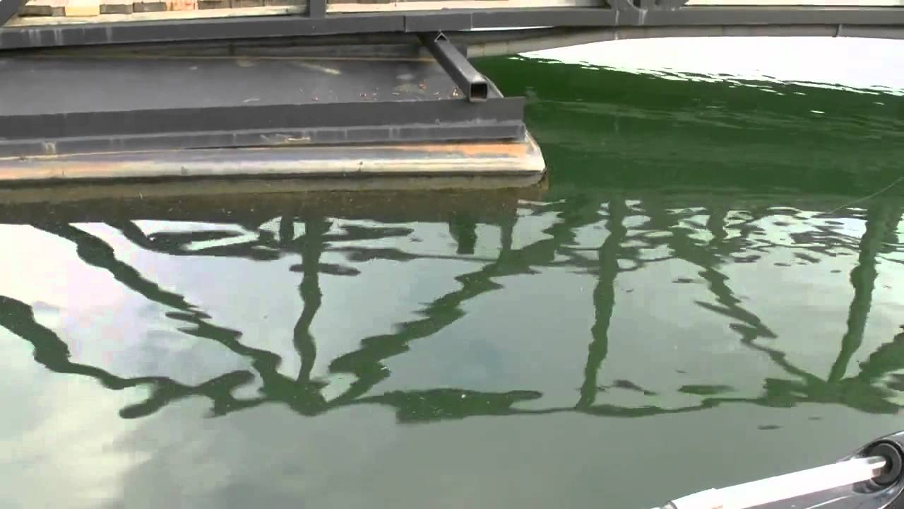 Approaching-docks-with-swimbaits-with-Bill-Siemantel