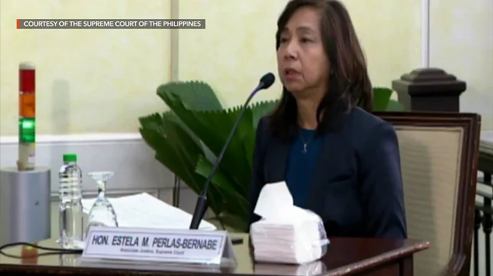 Bernabe: Chief justice should be loyal to Constitution, to people