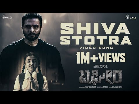 BAGHEERA | SHIVA