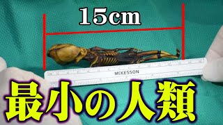 【宇宙人？】明らかに小さすぎる人骨が見つかった件について〜世界のミイラができるまで〜【 都市伝説 宇宙人 ミイラ 】