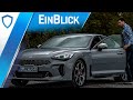 Kia Stinger GT 3.3 V6 AWD (2020) - Echte Konkurrenz für die deutschen Platzhirsche?