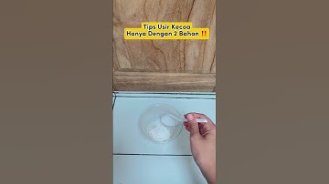 Usir kecoa hanya dengan bahan ini #caramembuat #tipsandtricks #idekreatifterbaru #tips #tipspraktis