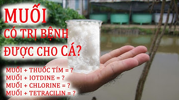 CÔNG DỤNG CỦA MUỐI ĐỐI VỚI CÁ NƯỚC NGỌT