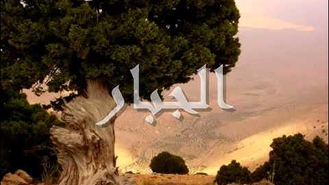 الشيخ ناصر القطامي  آواخر سورة الحشر مبكية جدا
