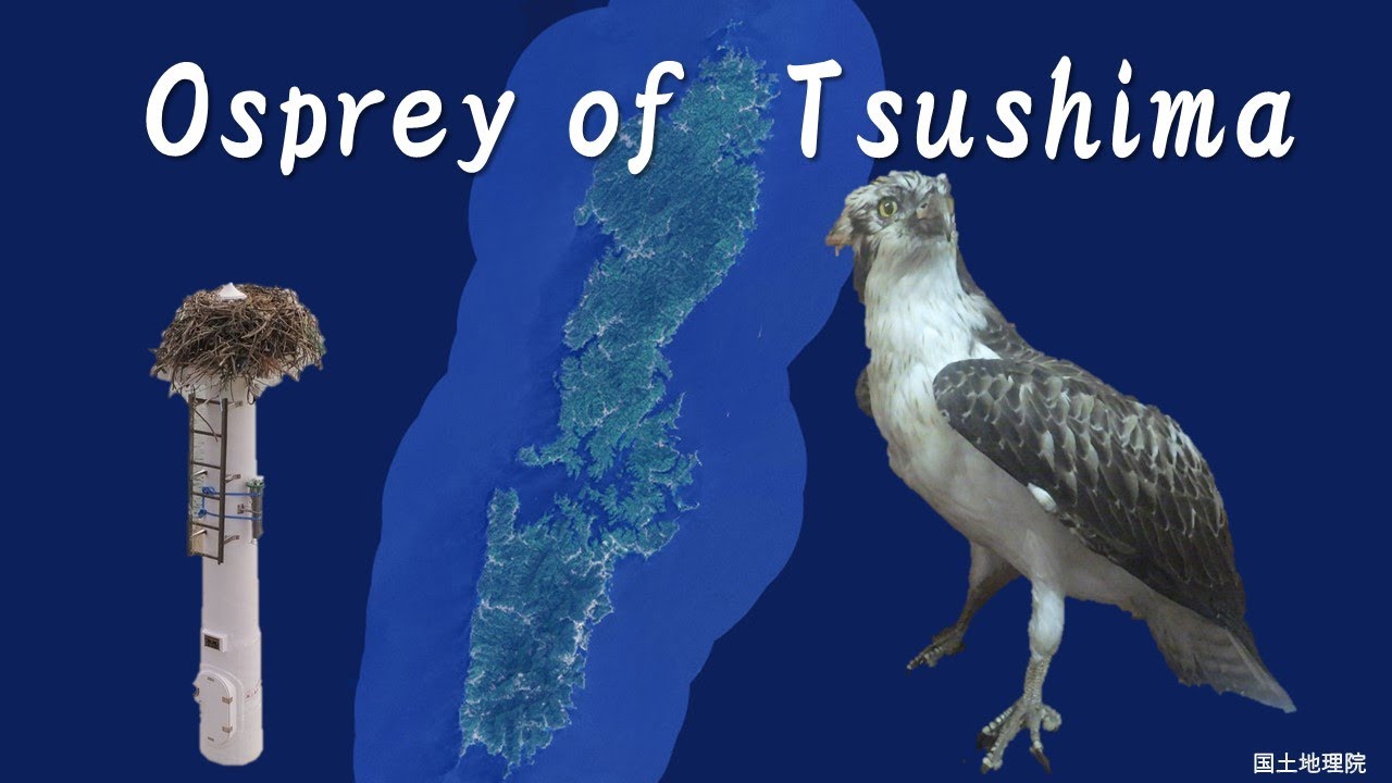 Osprey of Tsushima【海上保安庁 第七管区】 - YouTube