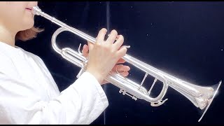 ドイツ製 トランペット B&S TP80 GBS 試奏 BACH が高くて買えない方におすすめ ちょっと良い楽器 Challenger Series1 Trumpet BS3180G-2