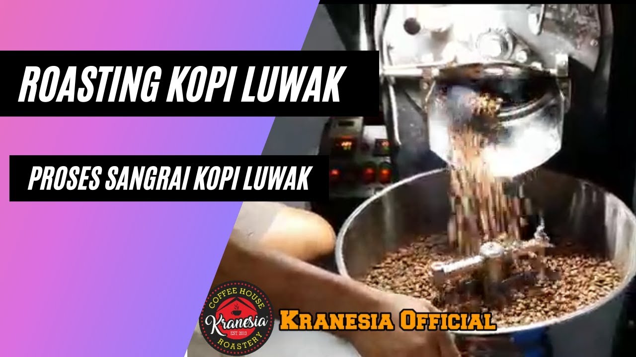 Kopi Bukan Luwak Proses Pemrosesan Asli