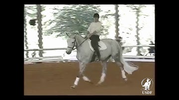 Using the Serpentine in Training