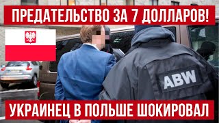 Шокирующая история! Украинский беженец в Польше продался за 7 долларов!