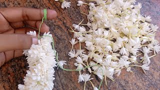 Easy method to make mullai poo garland/pichi poo malai kattuvadhu eppadi/How to string mullai poo