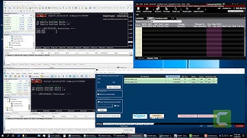 MetaTrader-Interactive Brokers Order Copier: Setting Financial Advisor Account Allocation