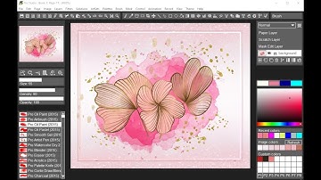 TwistedBrush Pro Studio 25 Short Slideshow