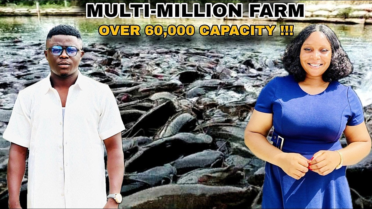 I STARTED MY FISH FARM WITH 1000 FISH BUT NOW HAVE 60,000! SECRET TO SUCCESSFUL FARMING IN AFRICA🇳🇬🌎
