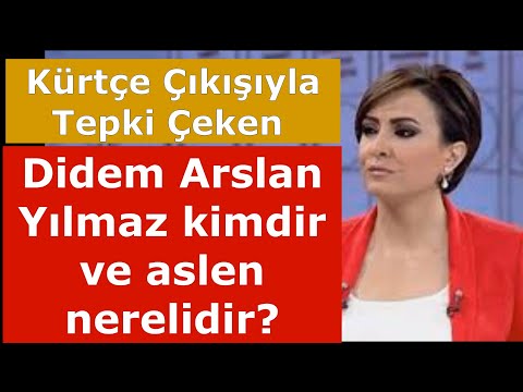Didem Arslan Yılmaz kimdir ve aslen nerelidir?