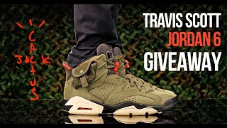 cactus jack air jordan 6