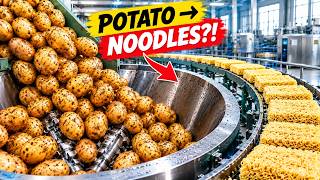 Information 🔥 Inside a Massive Factory Turning Millions of Potatoes into Instant Noodles | Full Process Update