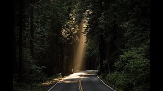 Road to Forest HD 1080p wallpapers | Wallpaper for PC | Latest wallpapers 2021