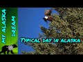 Typical day on a remote Alaskan island | Off grid cabin