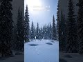 Snow Forest White Noise for Deep Sleep ❄️ Relaxing Snow Sounds #shorts
