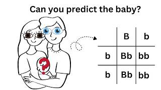 Punnett Squares Made EASY 🧬 | GCSE Biology Genetics