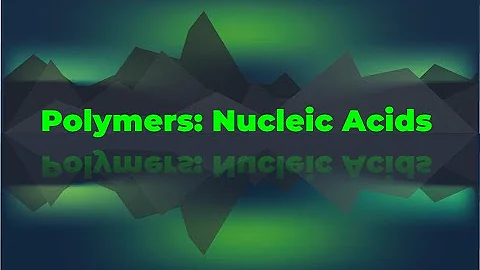 Is nucleic acid a natural polymer? (2023)