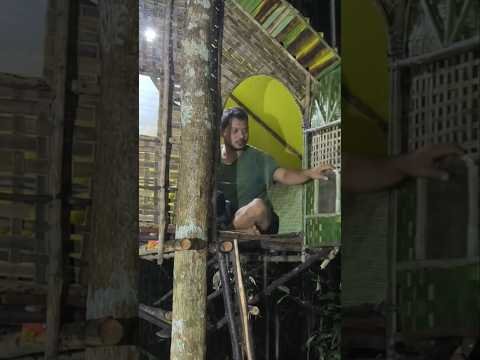suasana malam diguyur hujan deras bermalam di cabin bambu hutan belantara, relaxing rain sound