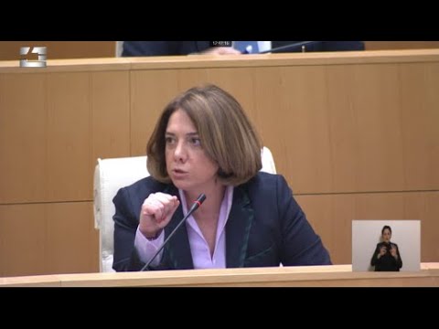 „დავხუროთ პოლიტიკური დევნის თემა, დავასრულოთ პოლიტიკური კრიზისი და მოვემზადოთ არჩევნებისთვის“