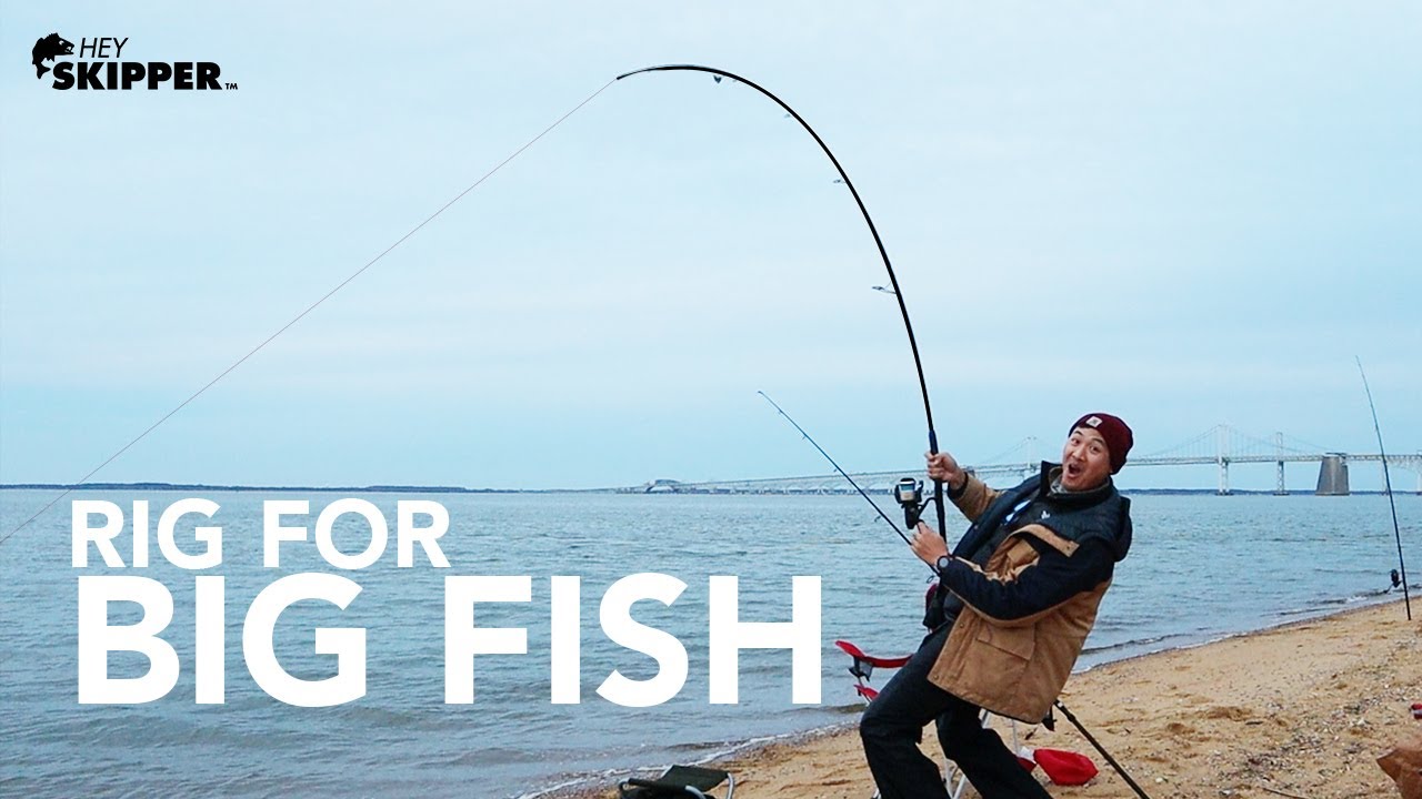 Catch BIGGER FISH w/ this Fishing Rig! Beach Fishing Rigs and