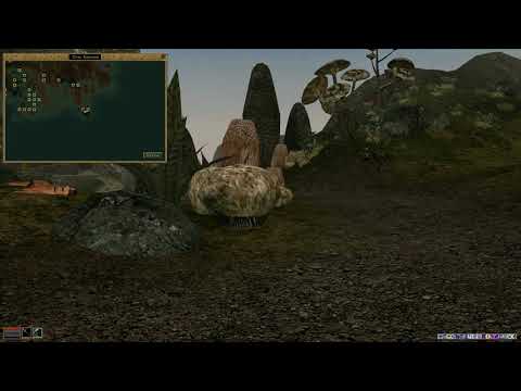 Видео: Tes 3 Morrowind ,способ как избавится от слепоты(сапоги ослеплящей скорости)