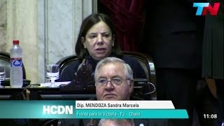 Sandra Mendoza sobre Jorge Capitanich en la Cámara de Diputados
